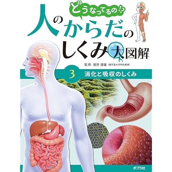 消化・吸収機能障害／栄養代謝機能障害   第３版/メヂカルフレンド社（単行本） 81TRnfU8nrL._UF350,350_QL50_.jpg